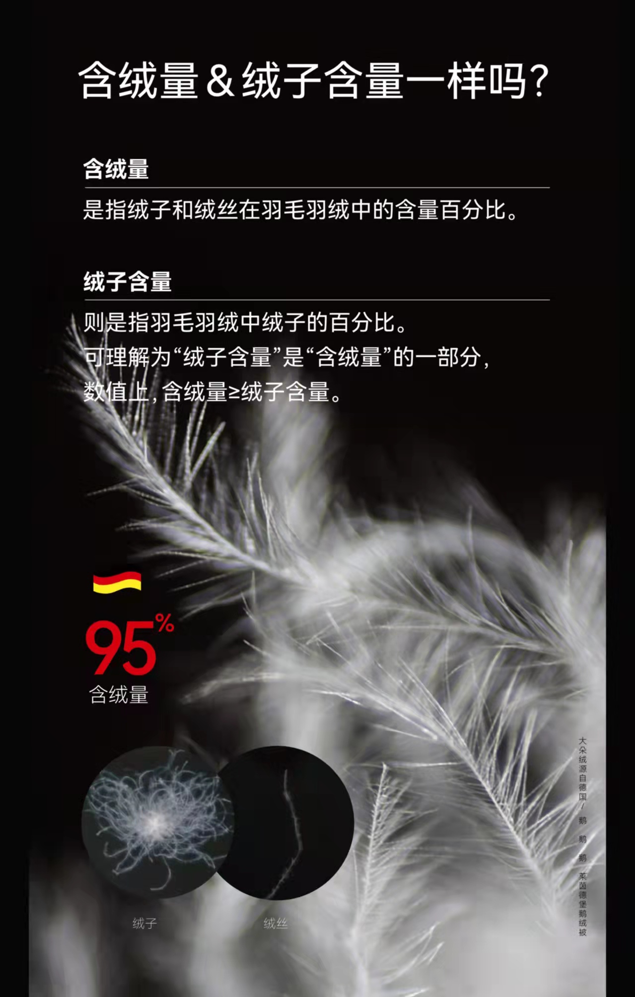 ���ڶ��ޱ�